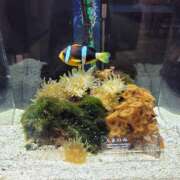 ヒメ日記 2025/06/19 22:08 投稿 りかこ 完熟ばなな 谷九店