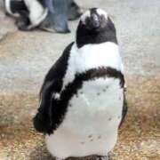 ヒメ日記 2025/07/08 14:48 投稿 りかこ 完熟ばなな 谷九店