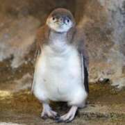 ヒメ日記 2025/08/01 13:25 投稿 りかこ 完熟ばなな 谷九店