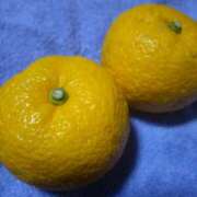 ヒメ日記 2024/12/21 09:10 投稿 堂本 十恋人～トレンド～