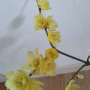 ヒメ日記 2025/12/31 07:53 投稿 優香奥様(ゆうか) 熟れたざくろ