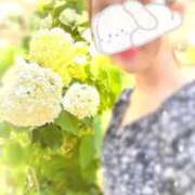 ヒメ日記 2025/06/23 13:01 投稿 あすか サンクチュアリ(上野)