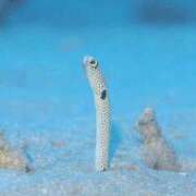 ヒメ日記 2024/12/11 11:50 投稿 みゆき 梅田人妻秘密倶楽部