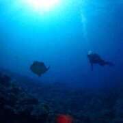 ヒメ日記 2025/06/25 00:00 投稿 みゆき 梅田人妻秘密倶楽部