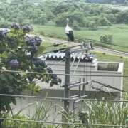 ヒメ日記 2025/07/10 20:40 投稿 みゆき 梅田人妻秘密倶楽部