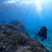 ヒメ日記 2025/07/21 11:40 投稿 みゆき 梅田人妻秘密倶楽部
