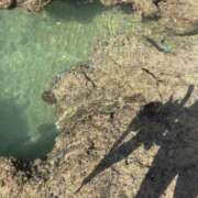 ヒメ日記 2025/11/02 13:45 投稿 みゆき 梅田人妻秘密倶楽部