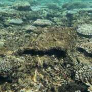 ヒメ日記 2025/12/08 23:00 投稿 みゆき 梅田人妻秘密倶楽部