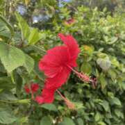 ヒメ日記 2026/01/09 23:50 投稿 みゆき 梅田人妻秘密倶楽部