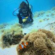 みゆき お礼について 梅田人妻秘密倶楽部