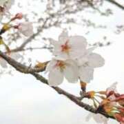 香川 出勤 モアグループ所沢人妻城