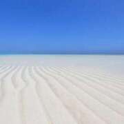 ヒメ日記 2024/12/14 06:06 投稿 なのは 多恋人