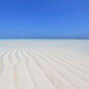 ヒメ日記 2024/12/17 06:16 投稿 なのは 多恋人