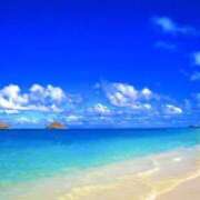 ヒメ日記 2024/12/25 06:16 投稿 なのは 多恋人