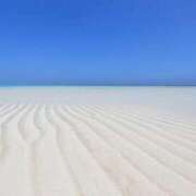 ヒメ日記 2025/01/19 06:16 投稿 なのは 多恋人