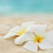 ヒメ日記 2025/02/02 06:16 投稿 なのは 多恋人