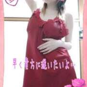 ひかる ラストDay.(長文雑談) 元町奥さま