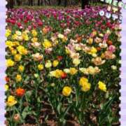 ゆめ こんにちは? 大久保おかあちゃんの乳クリ