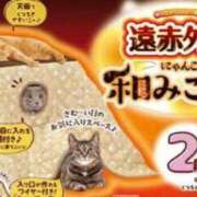 ヒメ日記 2023/09/17 13:32 投稿 雨宮　さき アロマキュアシス 吉祥寺