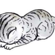 ヒメ日記 2026/01/10 17:20 投稿 雨宮　さき アロマキュアシス 吉祥寺