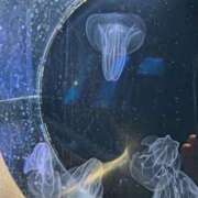 ヒメ日記 2025/04/22 17:11 投稿 ゆうき ココリラ吉祥寺・調布店