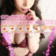 ヒメ日記 2025/01/31 08:15 投稿 桃井 さゆり メルビス＆アトリアーナ