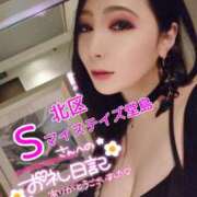 ヒメ日記 2025/09/03 02:26 投稿 桃井 さゆり メルビス＆アトリアーナ