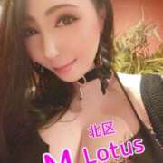 ヒメ日記 2025/09/27 00:38 投稿 桃井 さゆり メルビス＆アトリアーナ