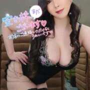 ヒメ日記 2025/11/26 17:55 投稿 桃井 さゆり メルビス＆アトリアーナ