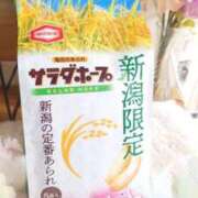 ヒメ日記 2025/12/16 18:35 投稿 桃井 さゆり メルビス＆アトリアーナ