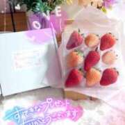 ヒメ日記 2026/02/25 18:56 投稿 桃井 さゆり メルビス＆アトリアーナ