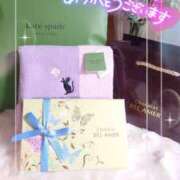 ヒメ日記 2026/03/13 17:34 投稿 桃井 さゆり メルビス＆アトリアーナ