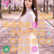 ヒメ日記 2026/04/01 00:02 投稿 桃井 さゆり メルビス＆アトリアーナ