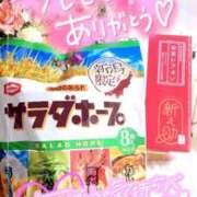ヒメ日記 2026/07/29 14:15 投稿 桃井 さゆり メルビス＆アトリアーナ