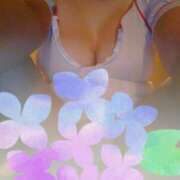 ヒメ日記 2025/06/17 12:52 投稿 まどか sakura