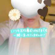 ヒメ日記 2026/04/01 19:52 投稿 まどか sakura