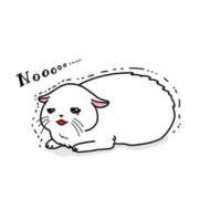 ヒメ日記 2025/01/29 12:25 投稿 セツナ 人妻生レンタル