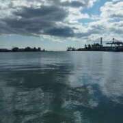 ヒメ日記 2025/06/18 11:30 投稿 セツナ 人妻生レンタル