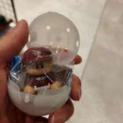 ヒメ日記 2025/09/04 11:00 投稿 セツナ 人妻生レンタル