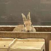 ヒメ日記 2024/12/19 17:30 投稿 あいか ふぞろいの人妻たち