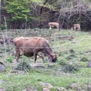 ヒメ日記 2025/06/09 11:40 投稿 あいか ふぞろいの人妻たち