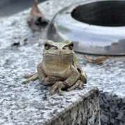 ヒメ日記 2025/07/24 21:30 投稿 あいか ふぞろいの人妻たち