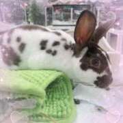 ヒメ日記 2025/07/28 07:06 投稿 あいか ふぞろいの人妻たち