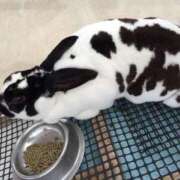 ヒメ日記 2025/08/07 11:20 投稿 あいか ふぞろいの人妻たち