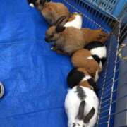 ヒメ日記 2025/09/17 10:10 投稿 あいか ふぞろいの人妻たち