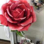 ヒメ日記 2025/09/30 07:20 投稿 あいか ふぞろいの人妻たち