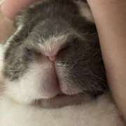 ヒメ日記 2025/11/13 11:30 投稿 あいか ふぞろいの人妻たち