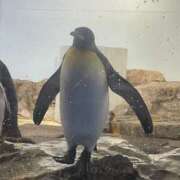 ヒメ日記 2025/11/22 08:40 投稿 あいか ふぞろいの人妻たち