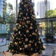 ヒメ日記 2025/12/26 12:30 投稿 あいか ふぞろいの人妻たち