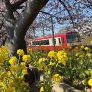 ヒメ日記 2026/03/06 09:00 投稿 あいか ふぞろいの人妻たち